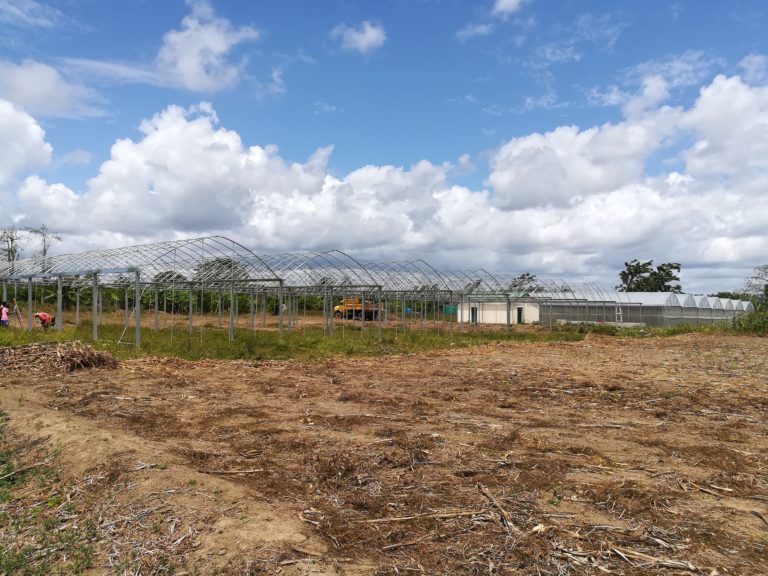 Starting to build our second greenhouse